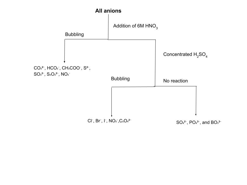 Overall Anion Analysis Scheme
