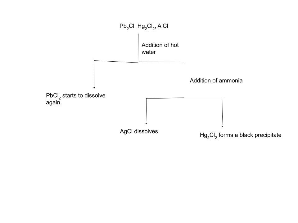 Cation Analysis Group 1
