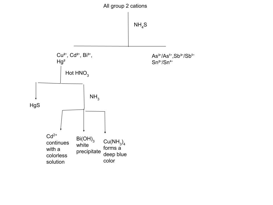 Cation Analysis Group 2
