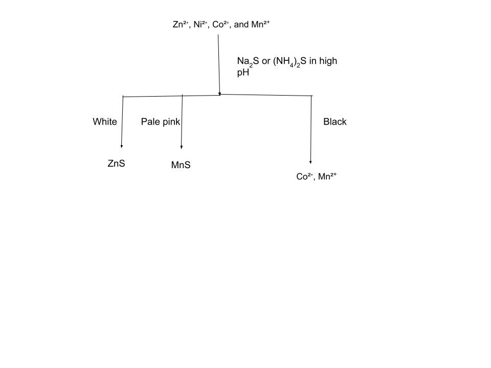 Cation Analysis Group 4