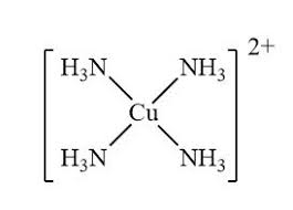 Transition Metal Complex Example